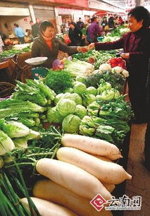 上半年我省農(nóng)產(chǎn)品總體價格漲兩成 氣候變化與成本上升雙重夾擊引憂